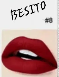 Chola Ink Matte Lipstick #8 - BESITO