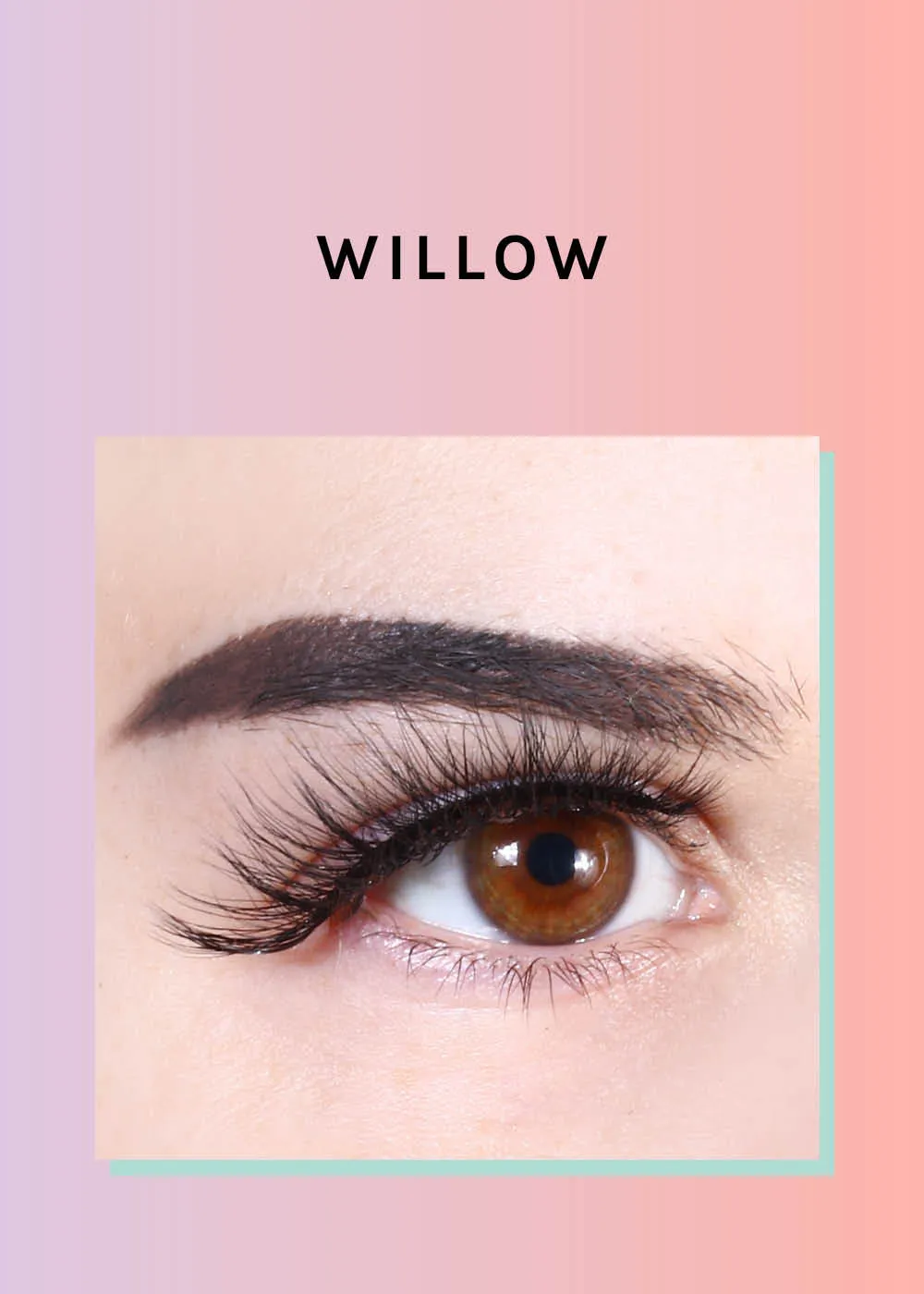 Paw Paw: 3D Faux Mink Lashes - Willow