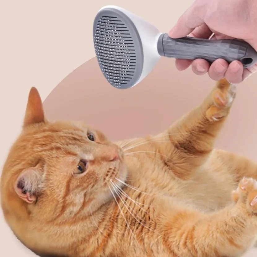 Silky Coat Best Cat Brush